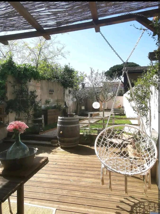 La Maison De Marie - Jardin Arbore - Garage Privatif - Netflix Каркассон Экстерьер фото